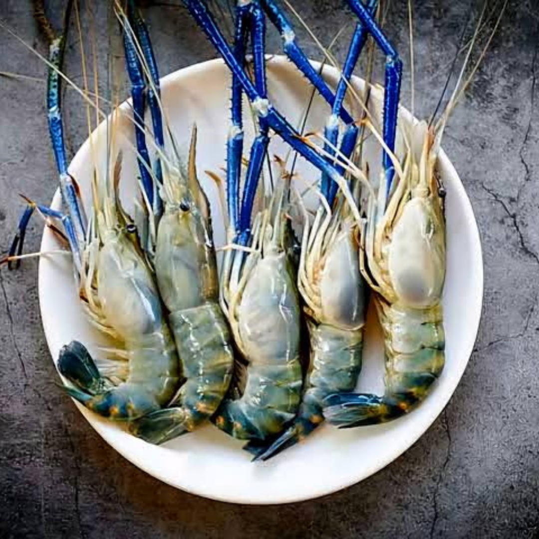 Jumbo / Prawns ( Variation 5-7 )