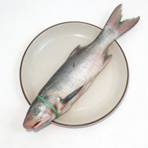 Dara fish (Phreadfin)