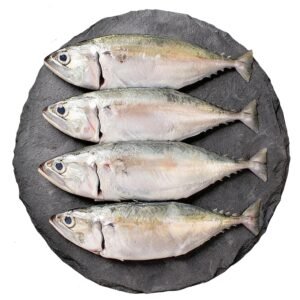 Bangda(Indian Mackerel)