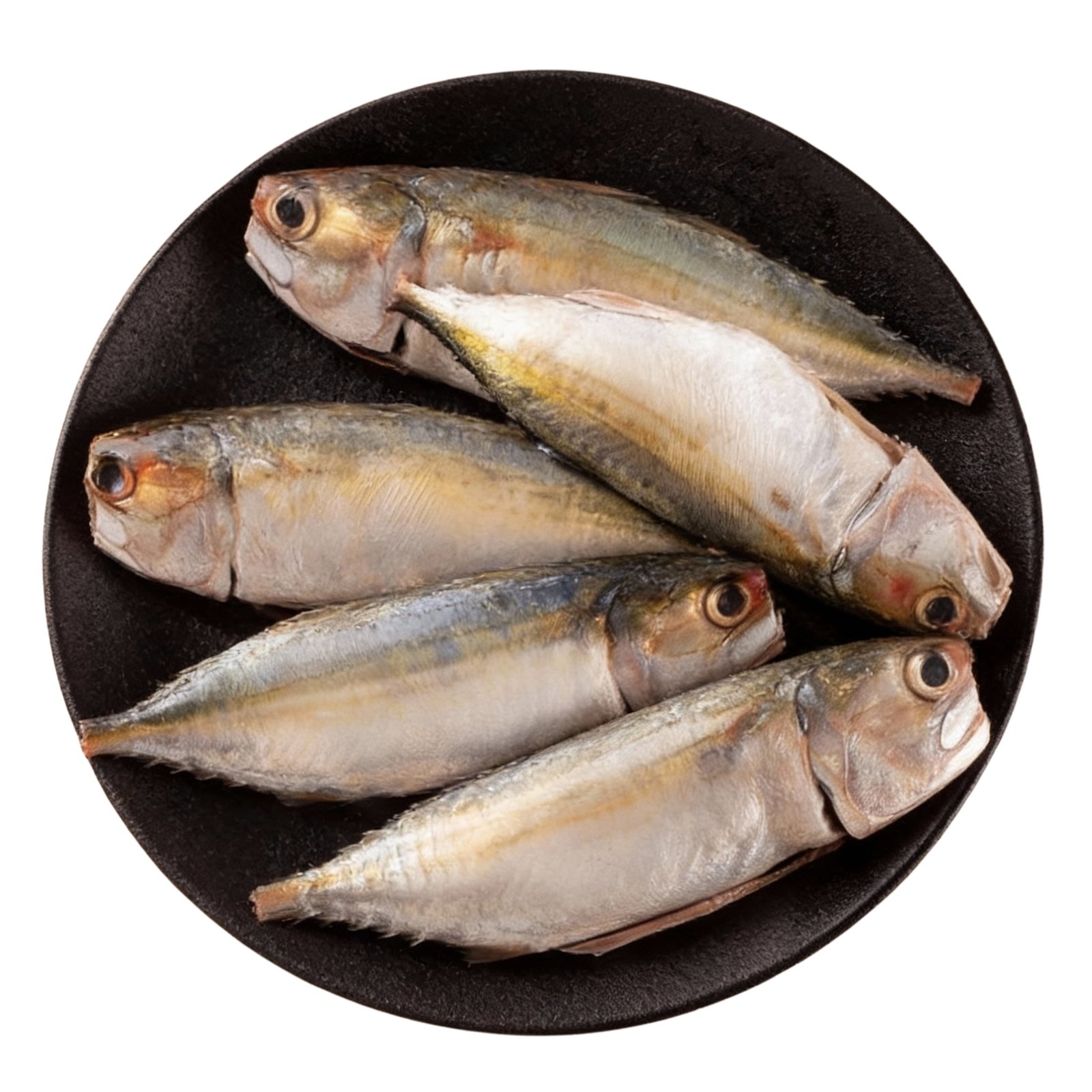 Bangda(Indian Mackerel)