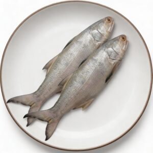 Indian Salmon (Rawas)