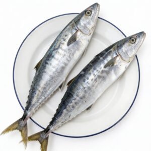 Surmai (King Mackerel)